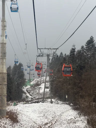 Cable cars gliding over a snowy forest